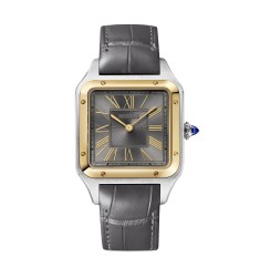 Cartier Santos-Dumont Watch Large Yellow Gold High Autonomy Quartz W2SA0028