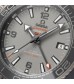 Omega Seamaster Planet Ocean 600M Co-Axial Master Chronometer GMT 45.5mm Mens Watch Grey O21592462299002