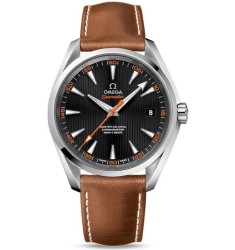 Omega Seamaster Aqua Terra Chronometer replica watch 231.12.42.21.01.002