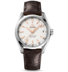 Omega Seamaster Aqua Terra Midsize Chronometer replica watch 231.13.39.21.02.003