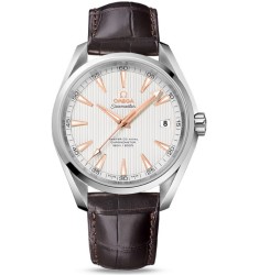 Omega Seamaster Aqua Terra Chronometer replica watch 231.13.42.21.02.003