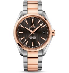 Omega Seamaster Aqua Terra Chronometer replica watch 231.20.42.21.06.003