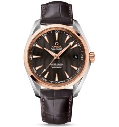 Omega Seamaster Aqua Terra Chronometer replica watch 231.23.42.21.06.003