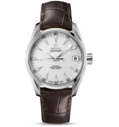 Omega Seamaster Aqua Terra Midsize Chronometer replica watch 231.13.39.21.02.001